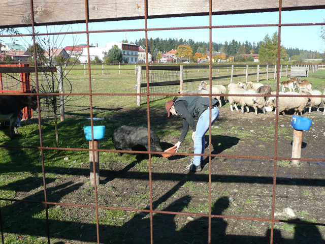 Ranc_015